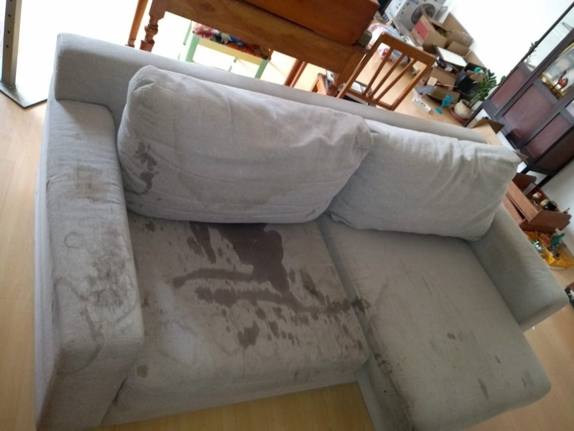 limpeza de sofa antes